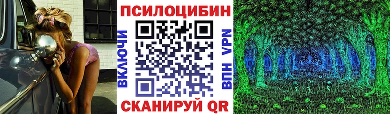 купить   Ессентуки  МЕГА ССЫЛКА  Галлюциногенные грибы Psilocybe 